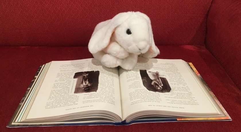 Marshmallow is reading Harry Potter and the Goblet of Fire, written by J.K. Rowling and illustrated by Jim Kay.