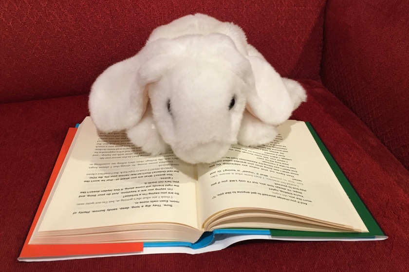 Marshmallow is reading The Other Half of Happy by Rebecca Balcárcel.