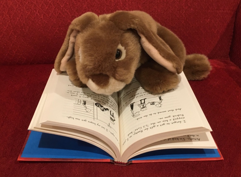 Caramel is reading Diary of a Wimpy Kid by Jeff Kinney.
