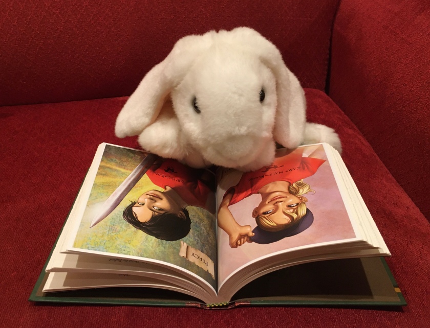 Marshmallow is looking at the portraits of Annabeth and Percy in The Demigod Diaries by Rick Riordan.