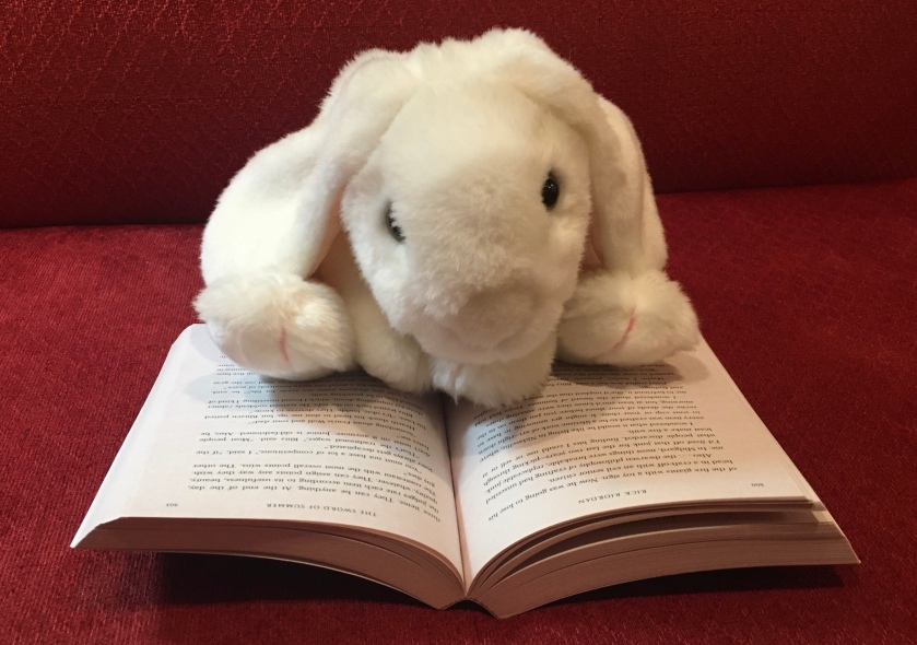 Marshmallow is reading Magnus Chase and the Sword of Summer by Rick Riordan.