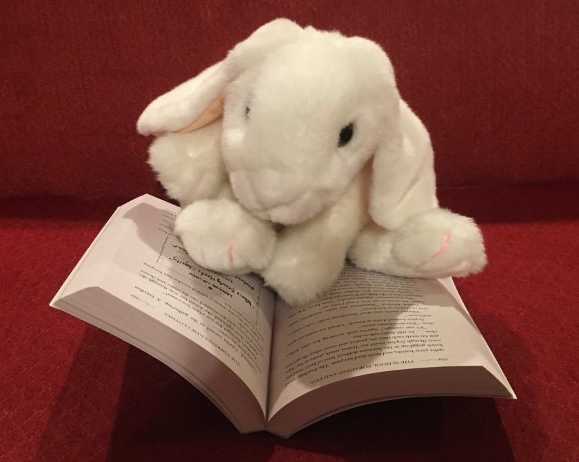 Marshmallow is reading The School for Good and Evil by Soman Chainani.