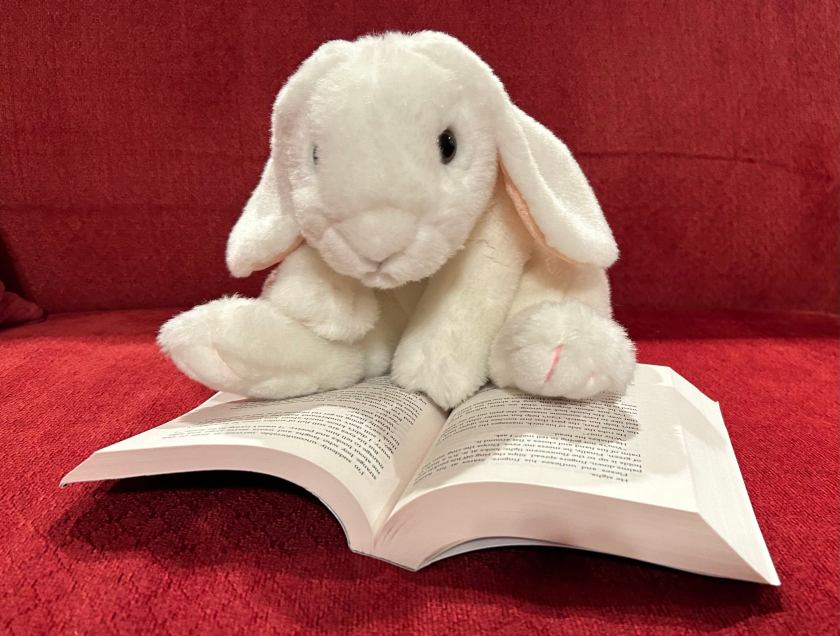 Marshmallow is reading Unravel Me by Tahereh Mafi. 