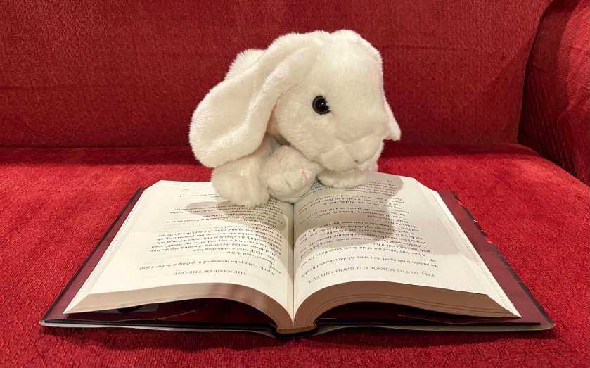 Marshmallow is reading Fall of the School for Good and Evil by Soman Chainani.
