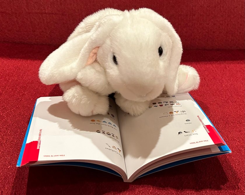 Marshmallow is reading How to Speak Emoji by Fred Benenson.